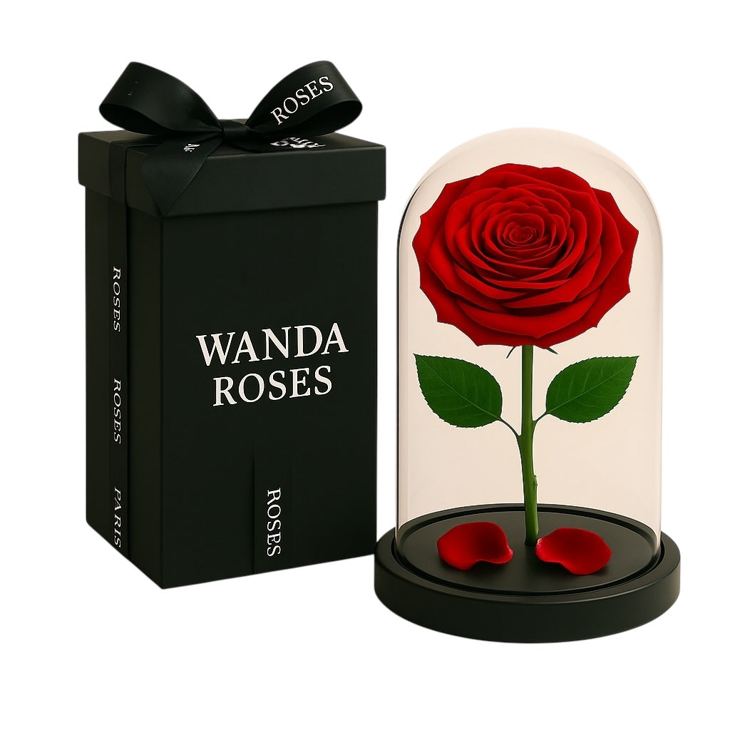 ROSES ETERNELLE SOUS CLOCHE